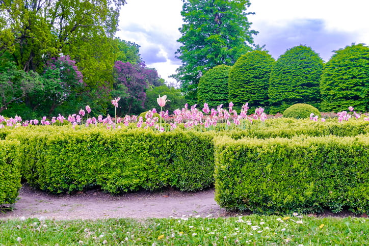 Landscape architecture integrating hardscape and softscape